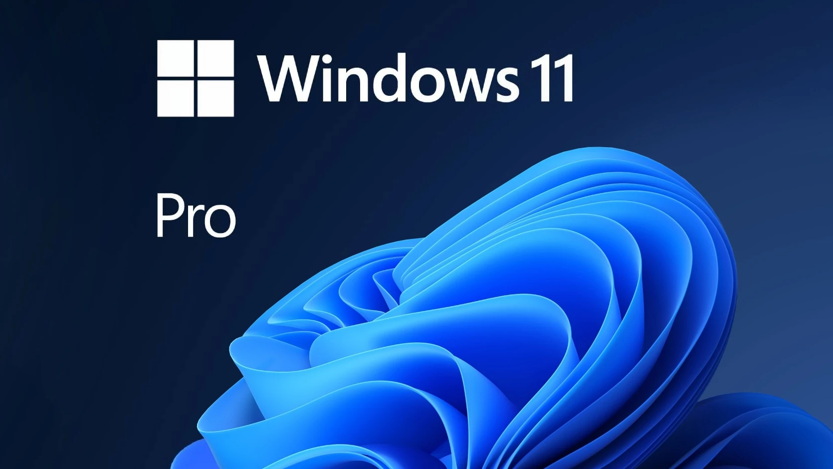 Windows 10 & 11 Operating Systems